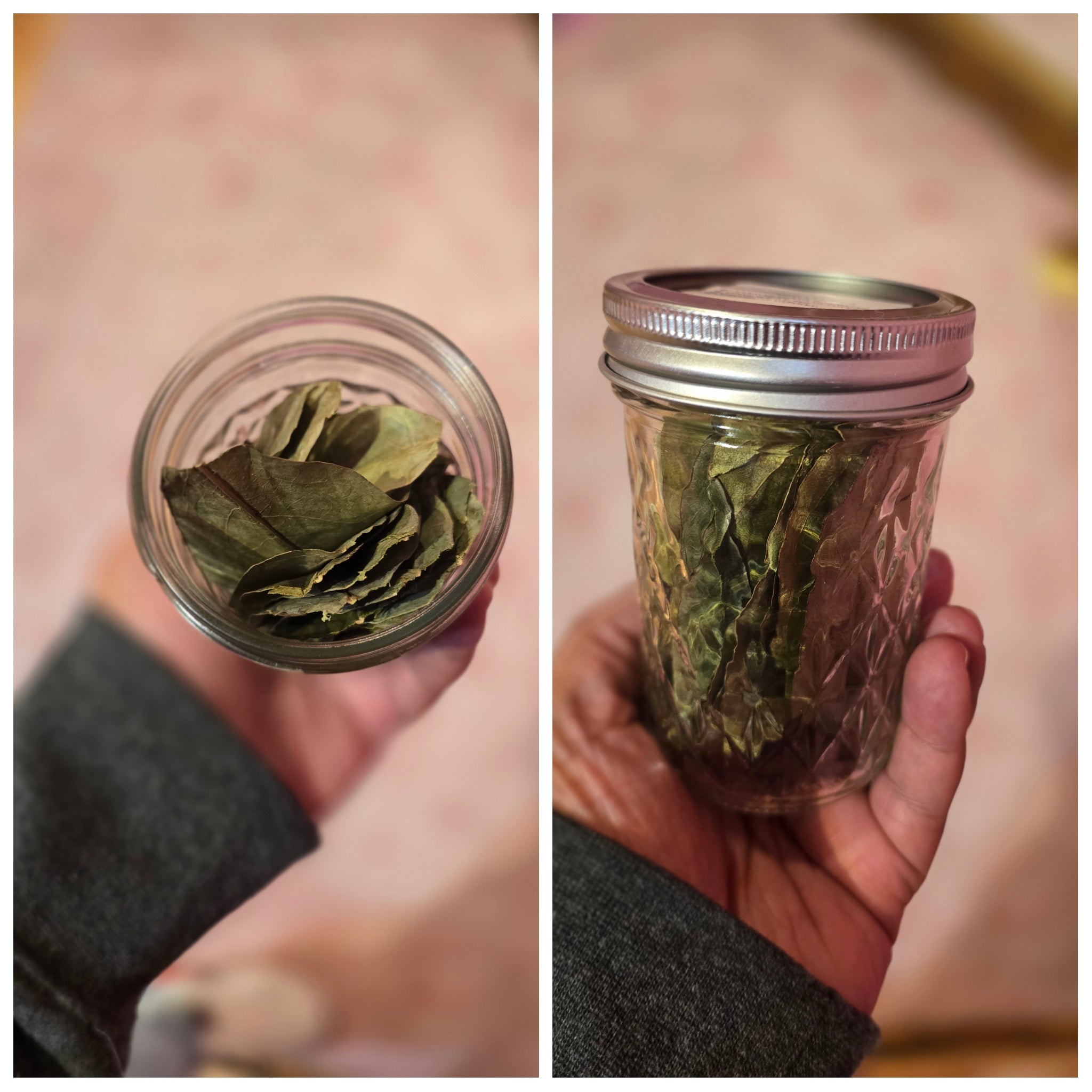 ORGANIC SOURSOP LEAVES